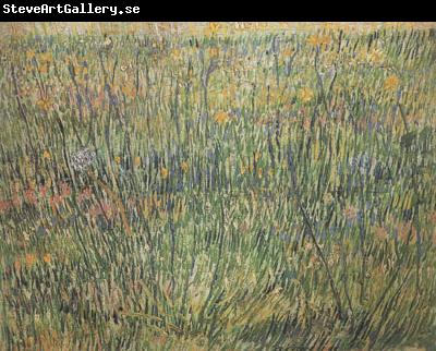 Vincent Van Gogh Pasture in Bloom (nn04)